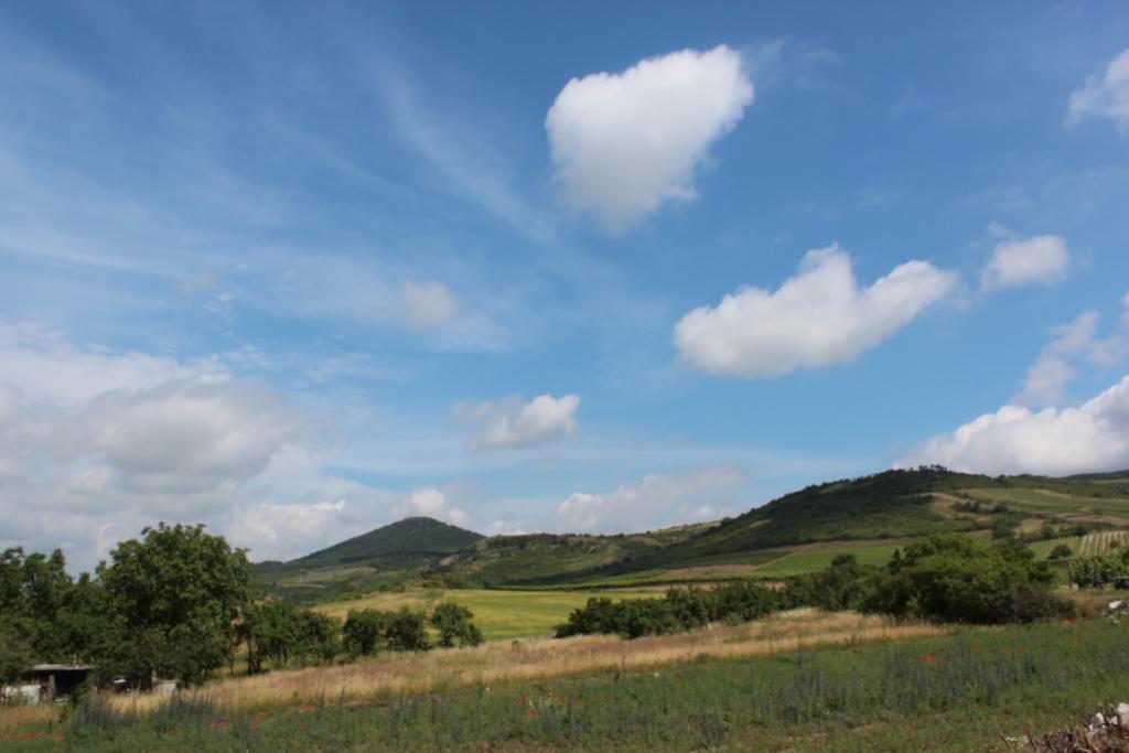 Pillangó Vendégház Tállya Exterior foto